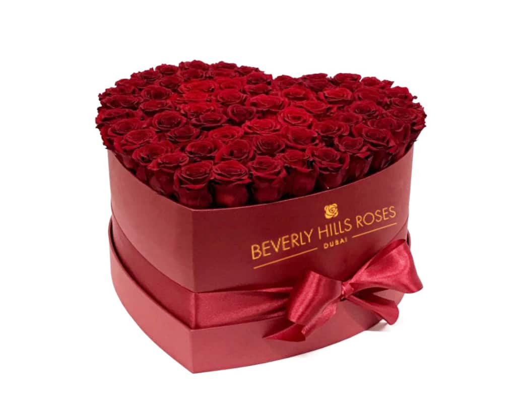 red roses in hollywood heart