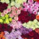 Colorful Flower Arrangements