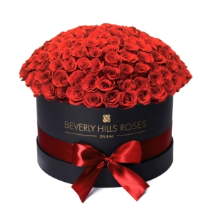 Large black rose box in " Hollywood Globe "