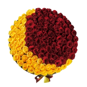 Where to order Roses "Crescent"
