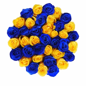 Blue Roses for Delivery "Sunny Lagoon" in Medium White Rose Box