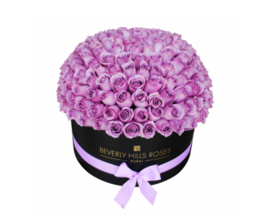 Purple roses in dome shape in box
