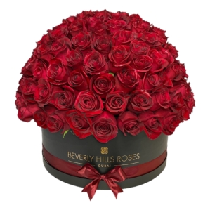 Red Roses Large Bouquet - Hollywood Globe In Round Box - Delivery of Roses Online