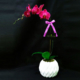 Purple Orchid in White Vase