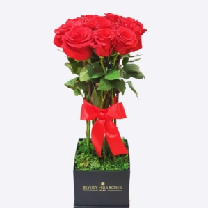 12 Premium Red roses bouquet in a box