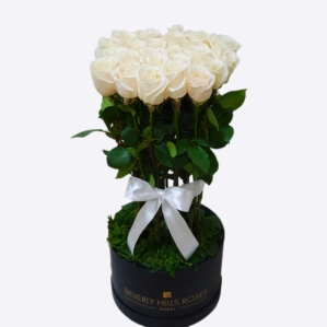Premium long stem White rose bouquet in a box
