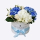 Blue Hydrangea & white Hydrangea in box