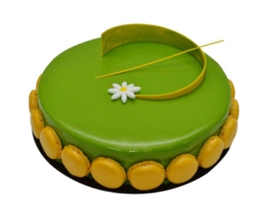 Choco Pistachio Cake for birthday