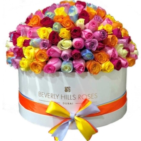 Mixed Colorful Roses in a Round Box - Roses in Radiance