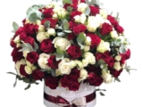 Red and White roses in Dome shape
