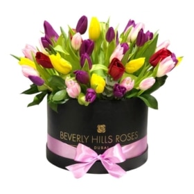 Tulips in Vibrance Medium Box