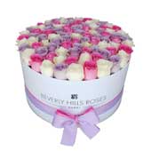 White, Pink & Purple roses in Round Box