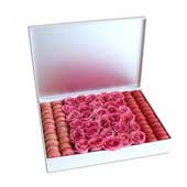 Macarons & Roses in a white box