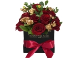 Red & Gold roses in ‘Enchanted’
