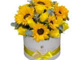 Yellow Roses and Sunflowers in Dazzle