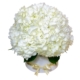 Snow White Hydrangea Bouquet