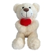 White valentine teddy bear with red heart