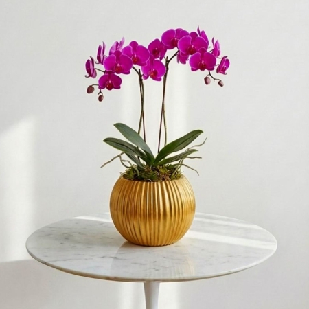 Purple Phalaenopsis Orchid Plant in Gold Vase - Beverly Hills Roses